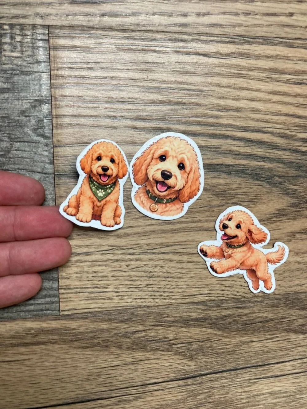 3 Flexible Dog Magnets Mini Goldendoodle Doodle Puppy Refrigerator Fridge Decor